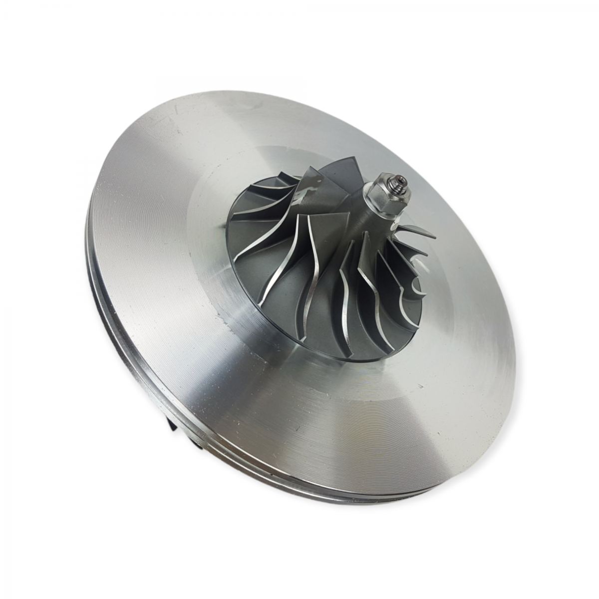 CHRA300239T New Turbocharger Chra