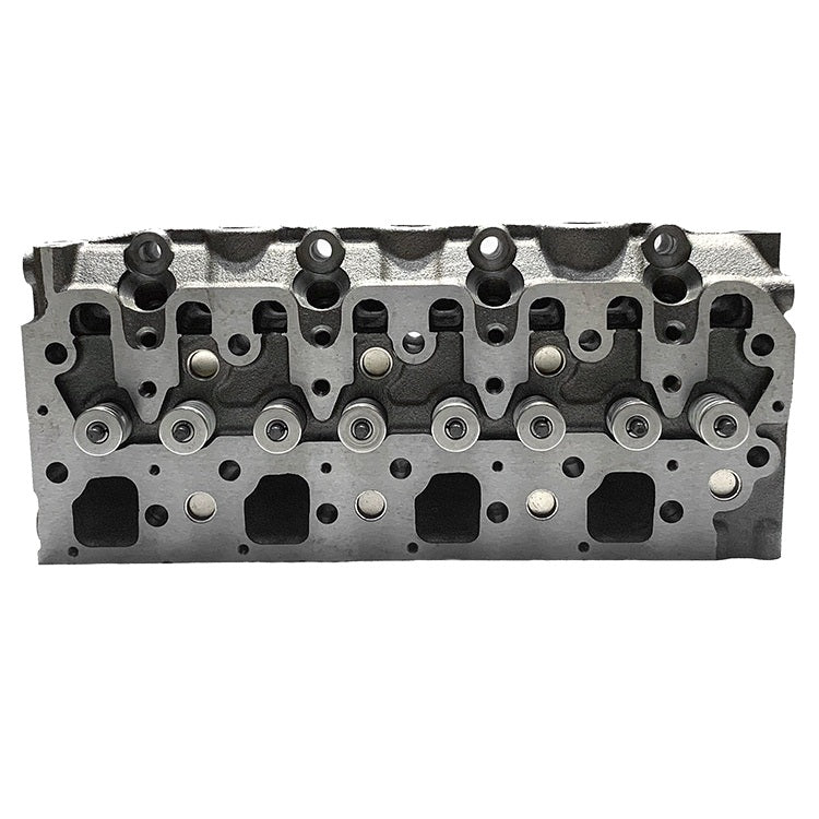 111017420 New Cylinder Head with valves