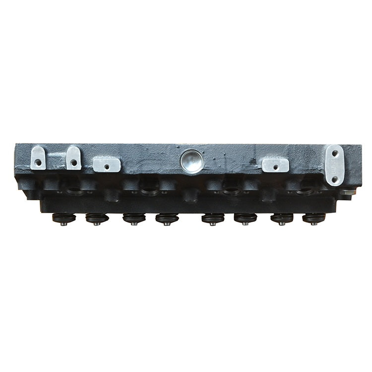 ZZ80175 New Cylinder Head with valves