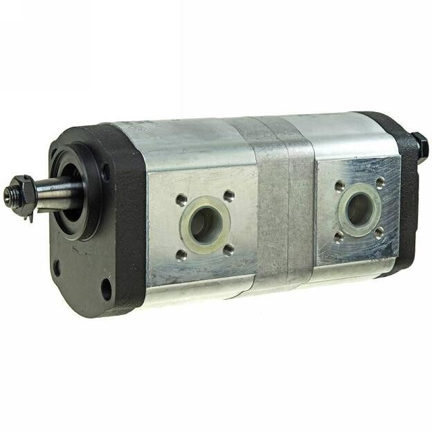 01176000 New Tandem Hydraulic Gear Pump